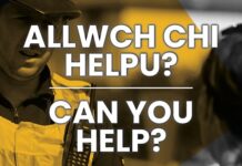 Bridge Street Newbridge – Assault on 10th June